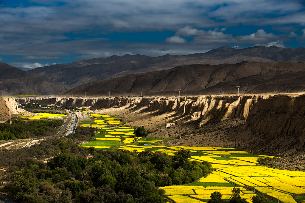 4_MG_5891-0-ys.jpg