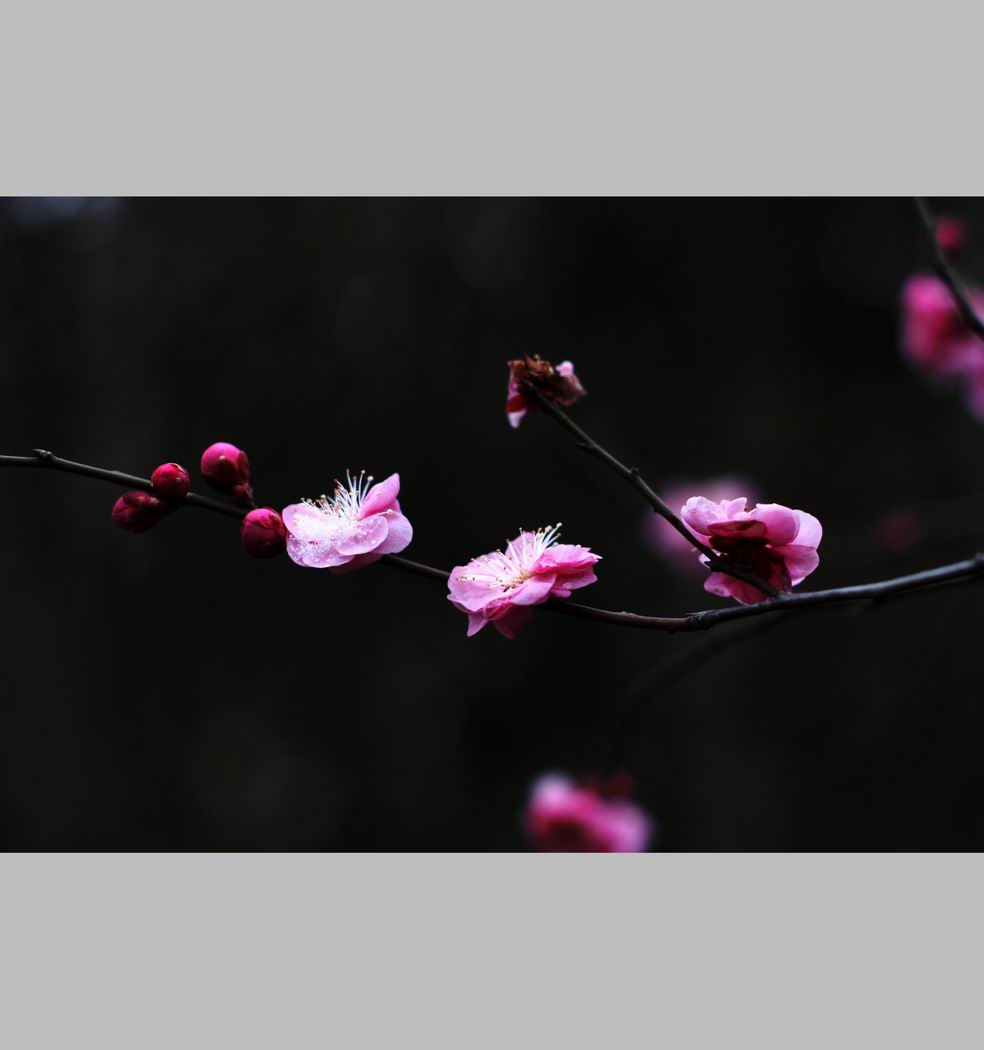 С ع IMG_9164.JPG