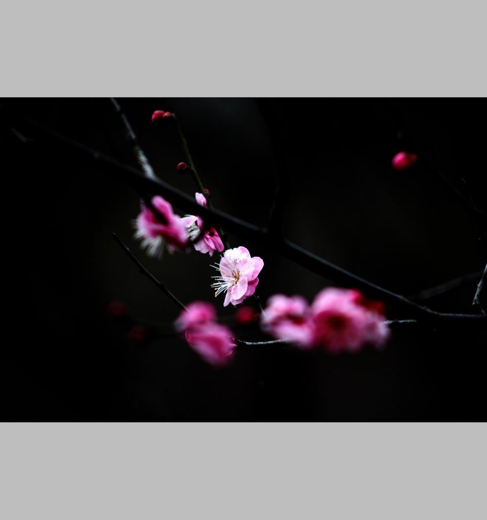 С ع IMG_9168.JPG