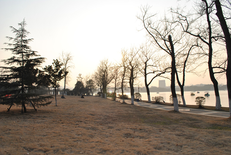 F8,1/200,ISO-100
