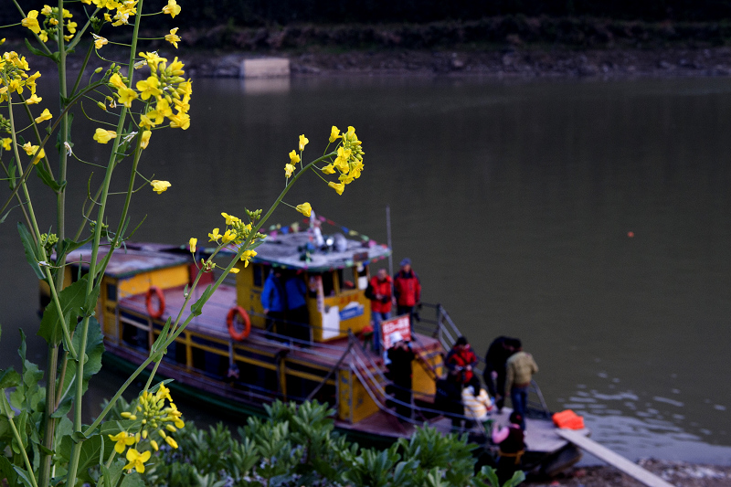 DSC_9719.jpg