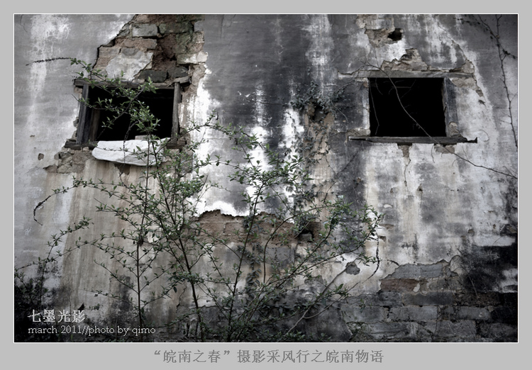 DSC_1882-2-3.jpg