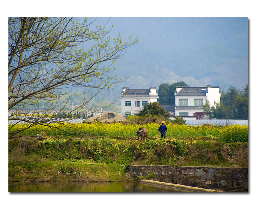 “LCL_5650”为智能对象-1.jpg