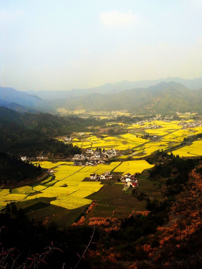 RIMG1327_副本.jpg
