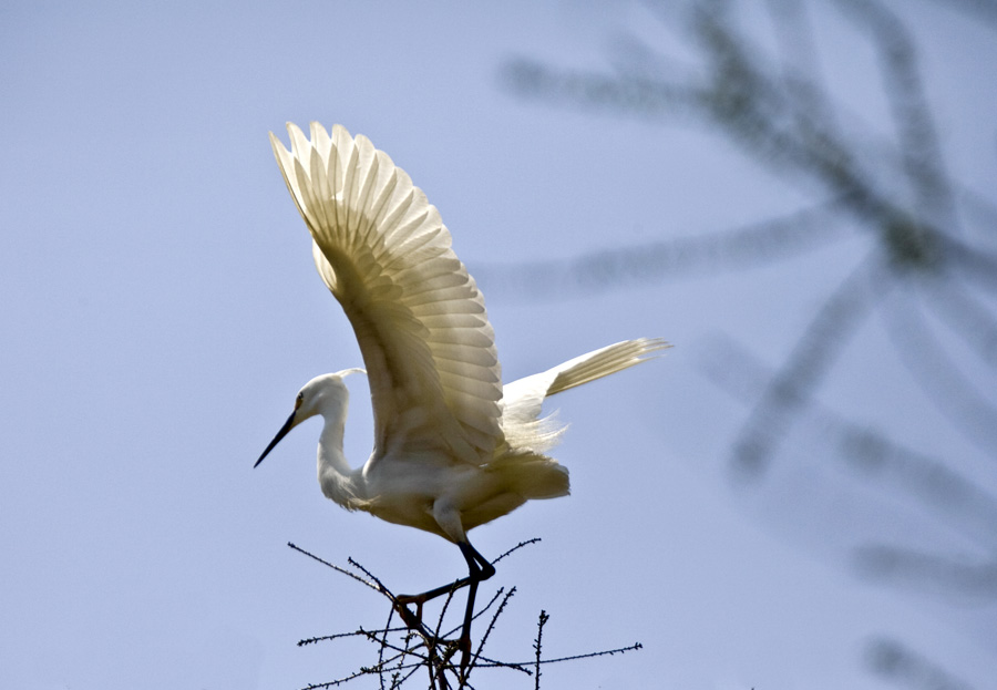 IMG_7367a.jpg