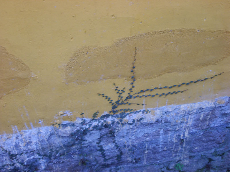 S5000170.JPG