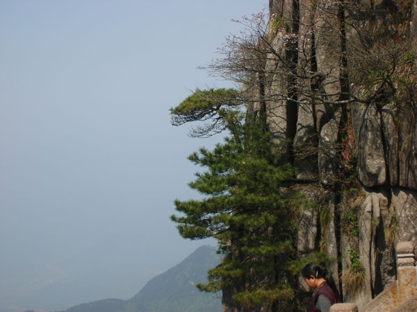 S5000227.JPG