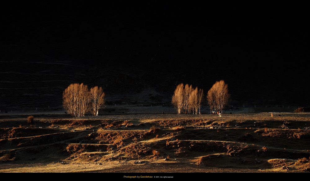 DSC_0957.jpg