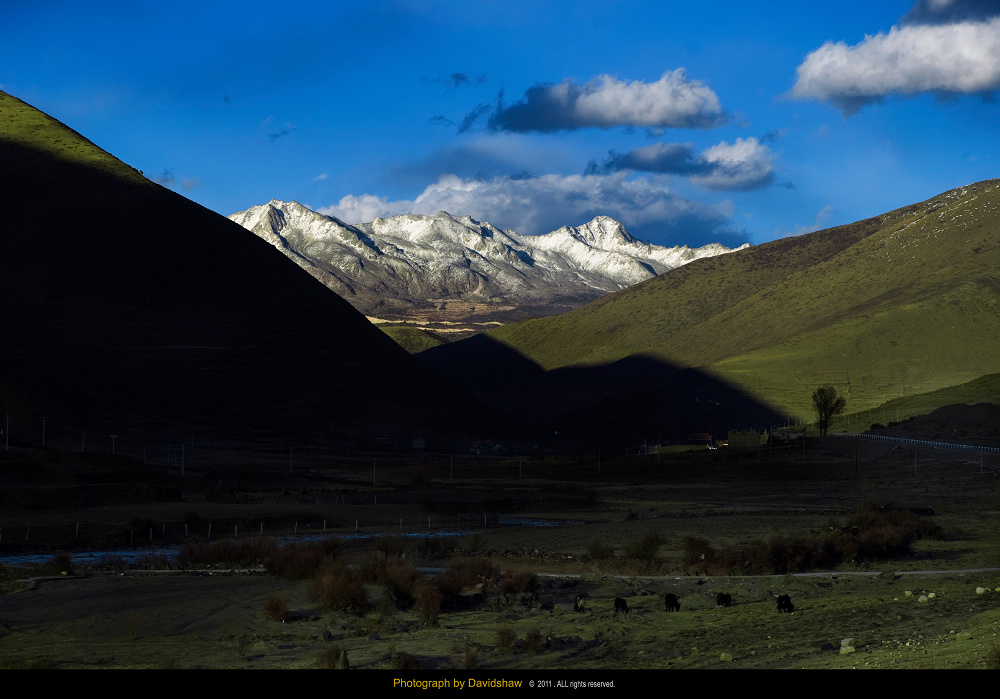 DSC_0953.jpg