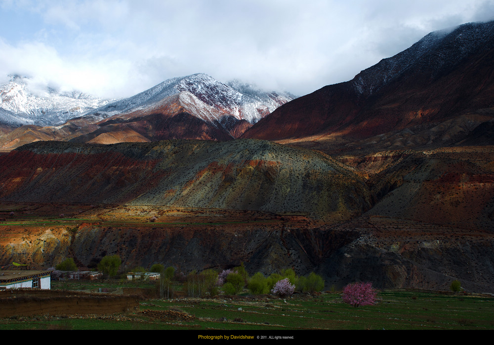 DSC_1149.jpg