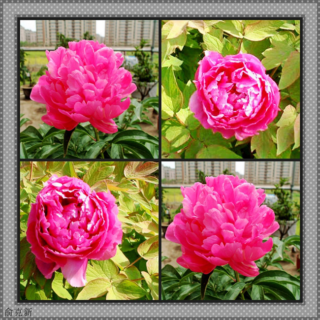 DSCF0067_conew7.jpg