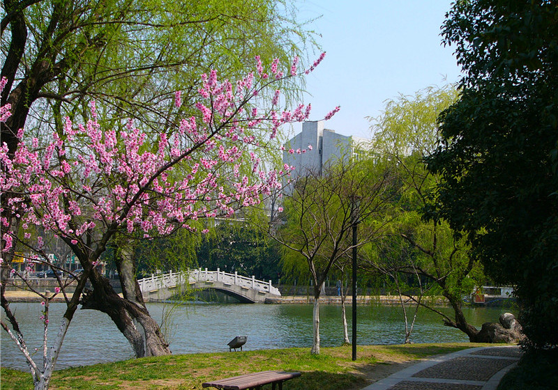 p1270431_.jpg