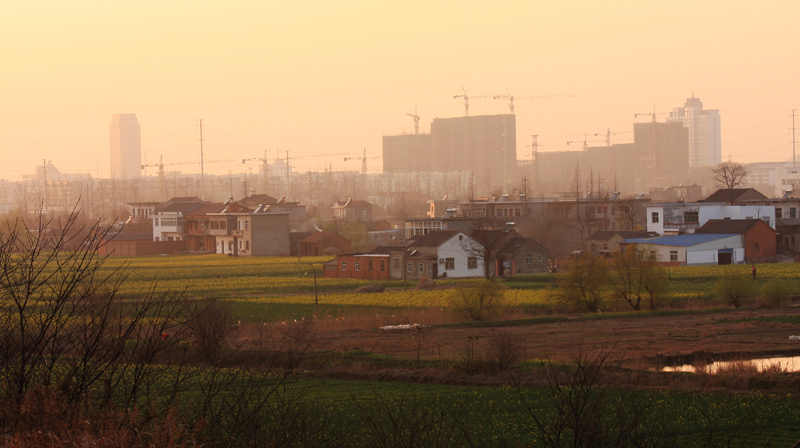 IMG_28340_neo_bak 副本.jpg