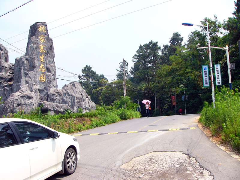 P1330242_副本.jpg