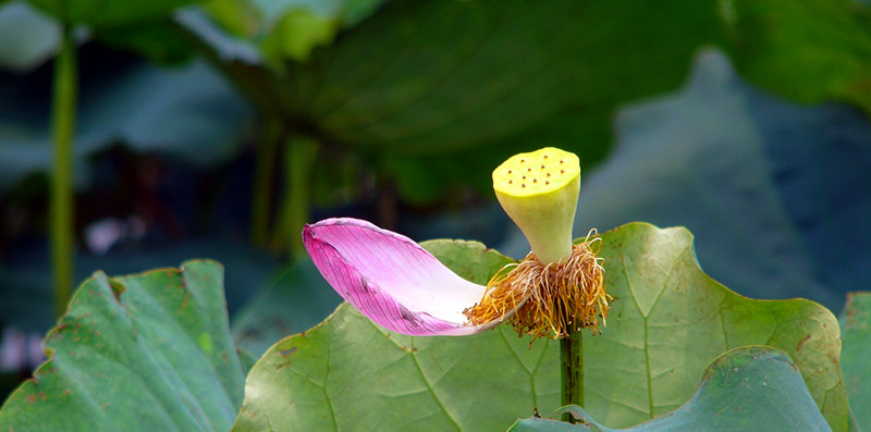 P1330008_副本.jpg