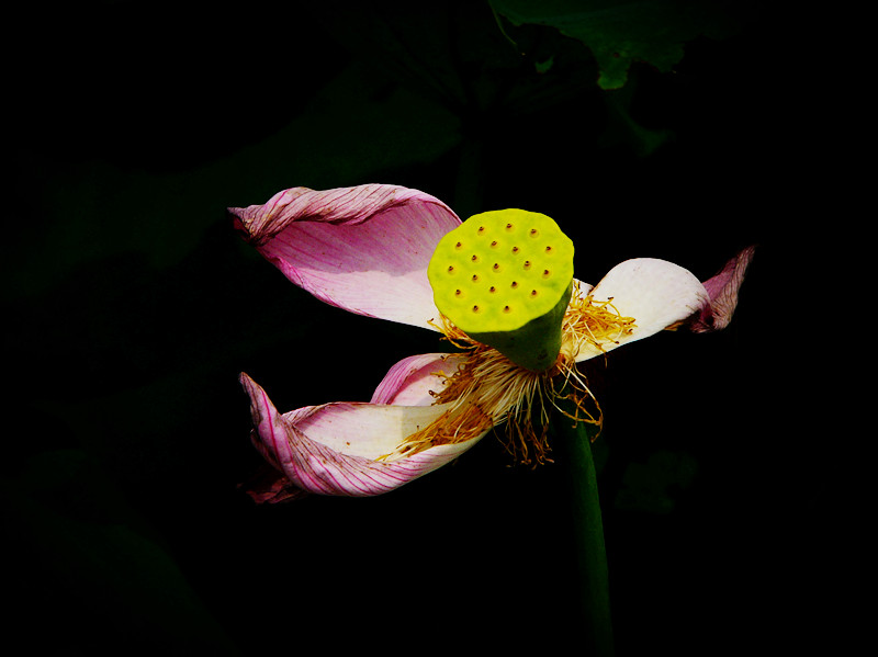 P1330172_副本.jpg