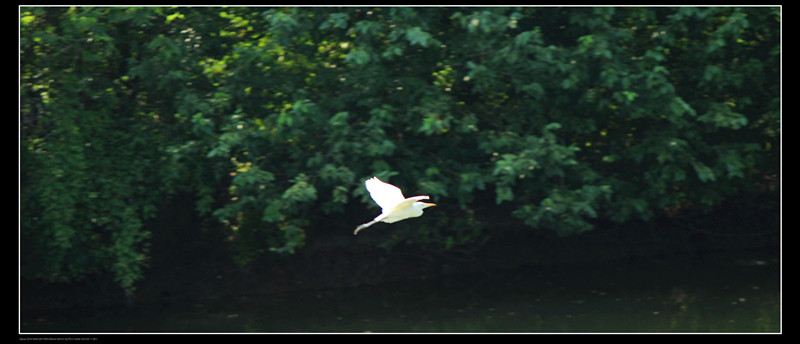 IMG_0686_.jpg