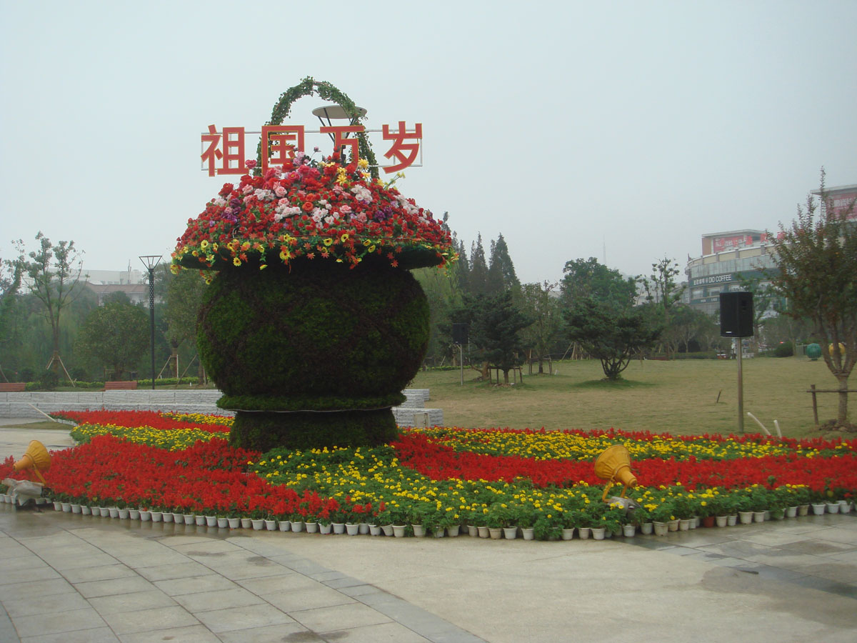  DSC08769.JPG
