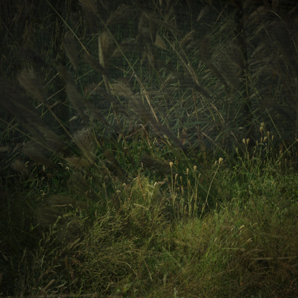 p4.jpg