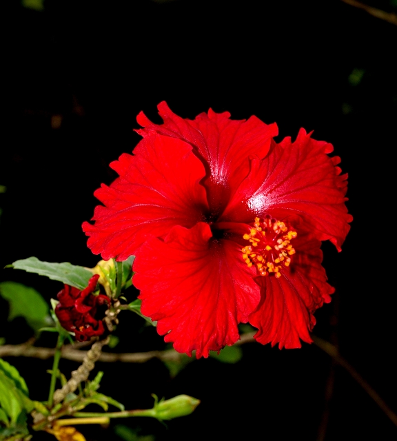 _A200819.jpg