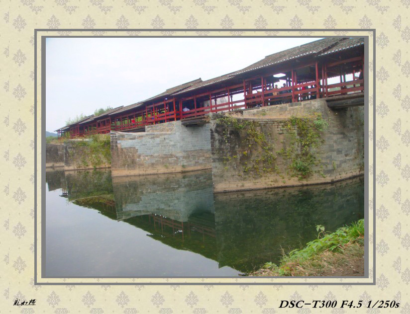 DSC04694_conew1.jpg