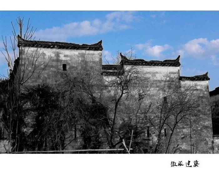 鲁慧芬 (17).JPG