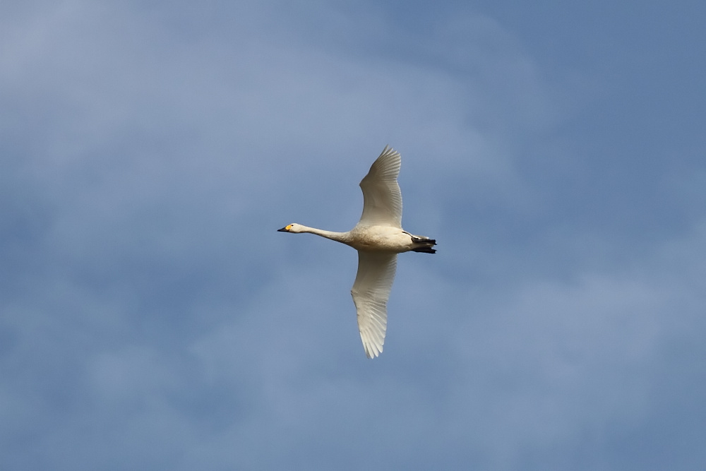20111226_715a956ca270462ce4b7kLEhwGclu2ed[1].jpg