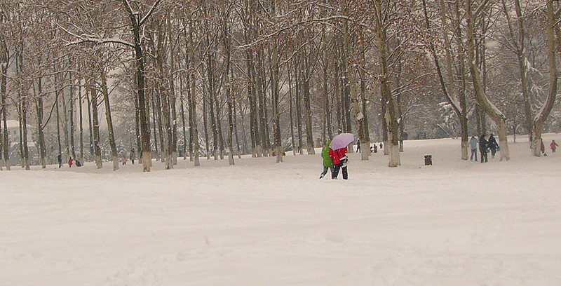 P1180892__.jpg