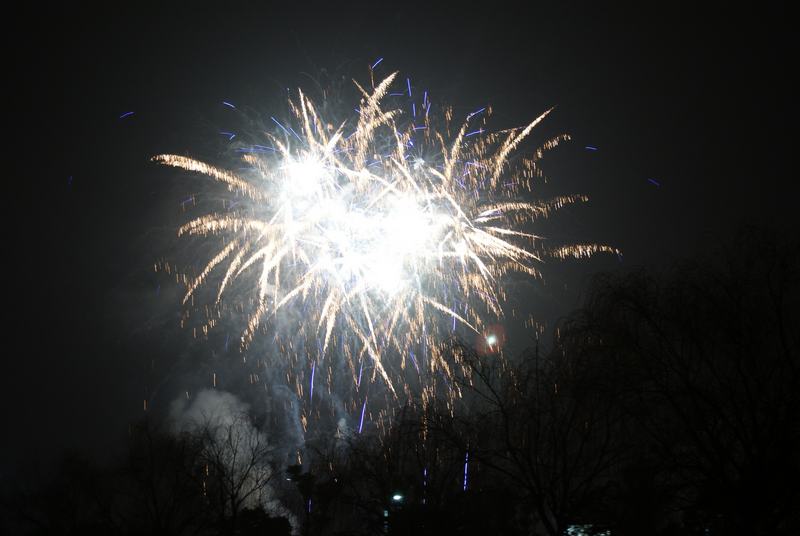  (2) DSC04138.JPG