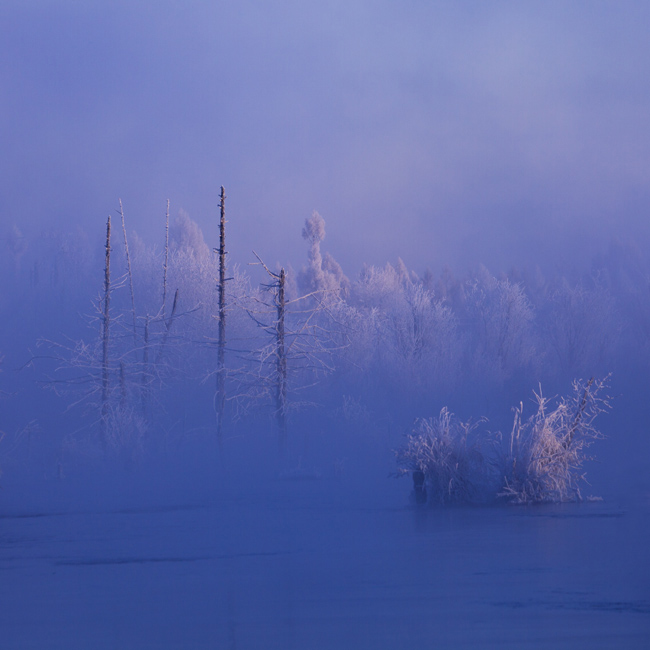 _MG_2657.jpg