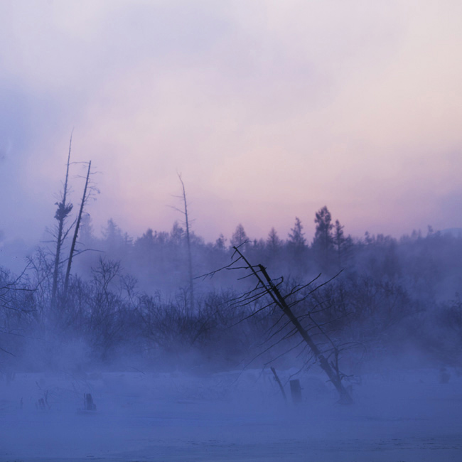 _MG_2889.jpg