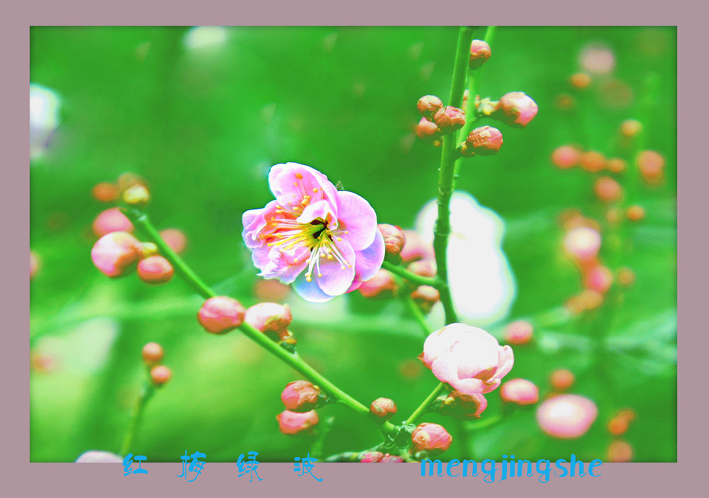 DSC06211_副本_副本.jpg