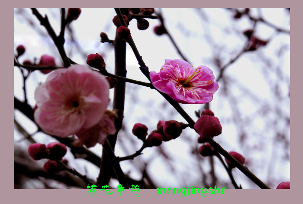 DSC06215_副本_副本.jpg