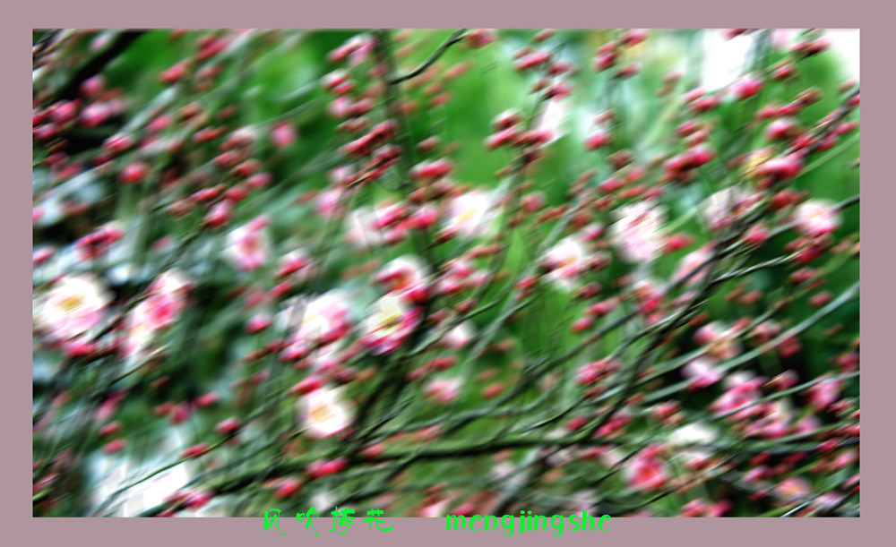 DSC06212_副本_副本.jpg
