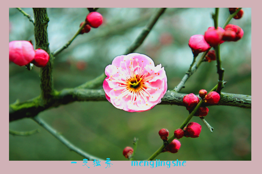DSC06220_副本_副本.jpg