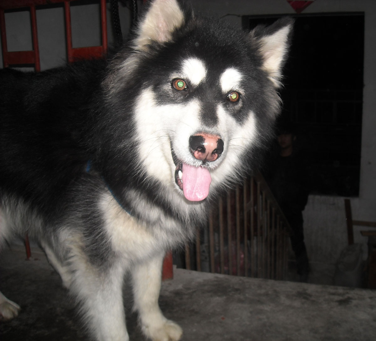 DSCN1223.JPG