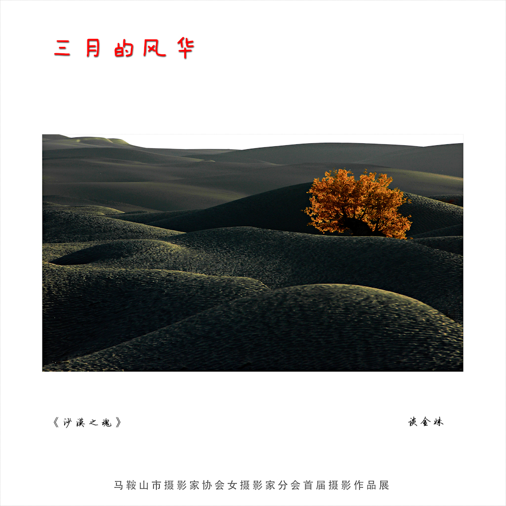 ɳĮ֮.jpg