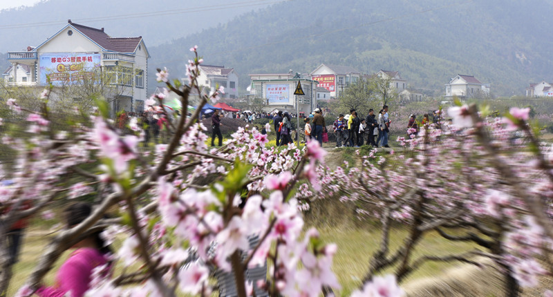 _DSC人流花红_副本.jpg
