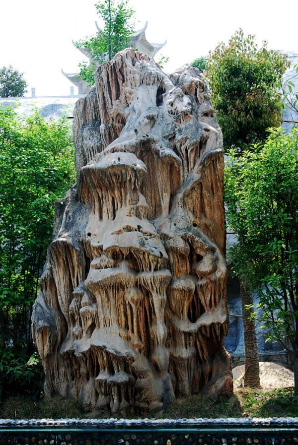 DSC_9046_conew2.jpg