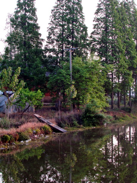 水边小景-1.jpg