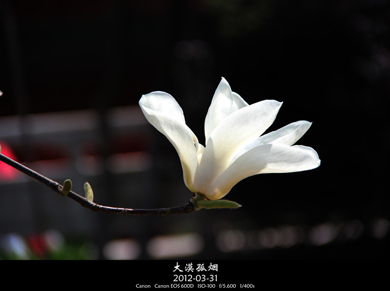 IMG_0857__.jpg