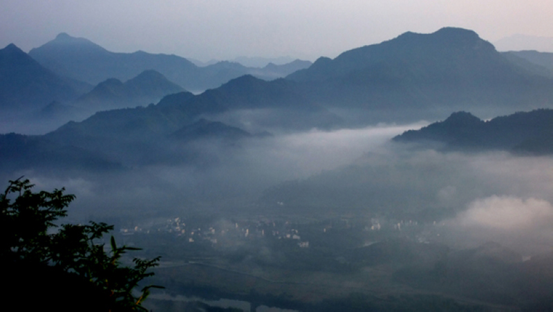 DSCF4715-11发.jpg
