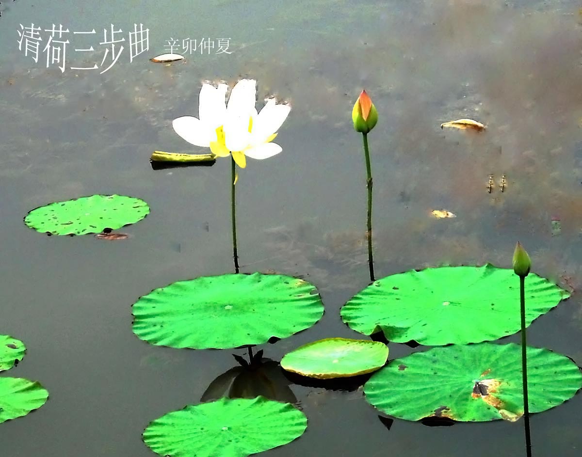 DSCN0449.JPG