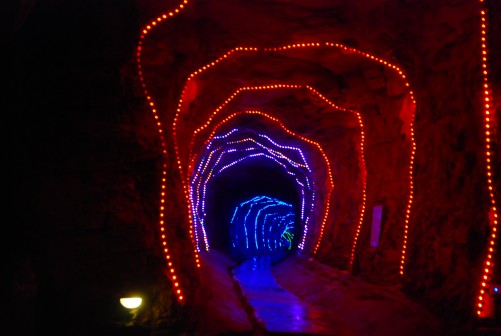 DSC_7704_conew1.JPG