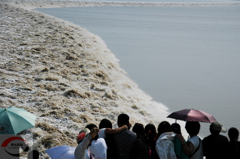 DSC_6626.JPG