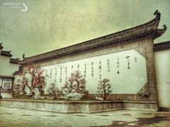 ҵֻ2014