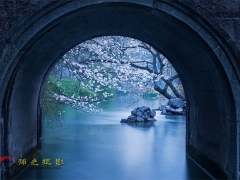 太子湾早晨
