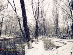 风雪雨山湖